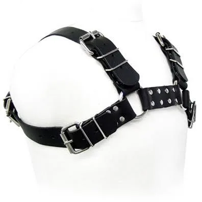BLACK BULL DOG HARNESS