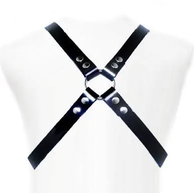 BASIC HARNESS