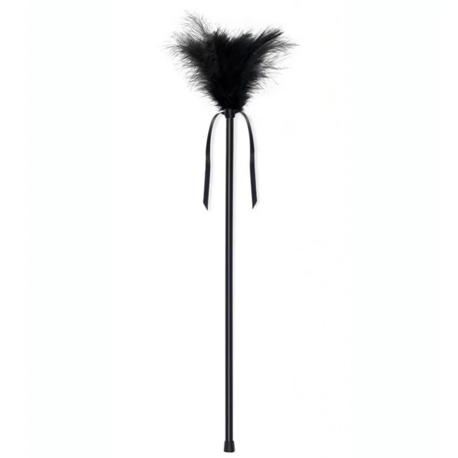 PLUMERO PLUMAS NEGRO 40 CM