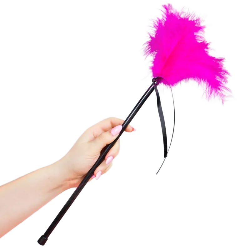 PLUMERO PLUMAS ROSA 40 CM