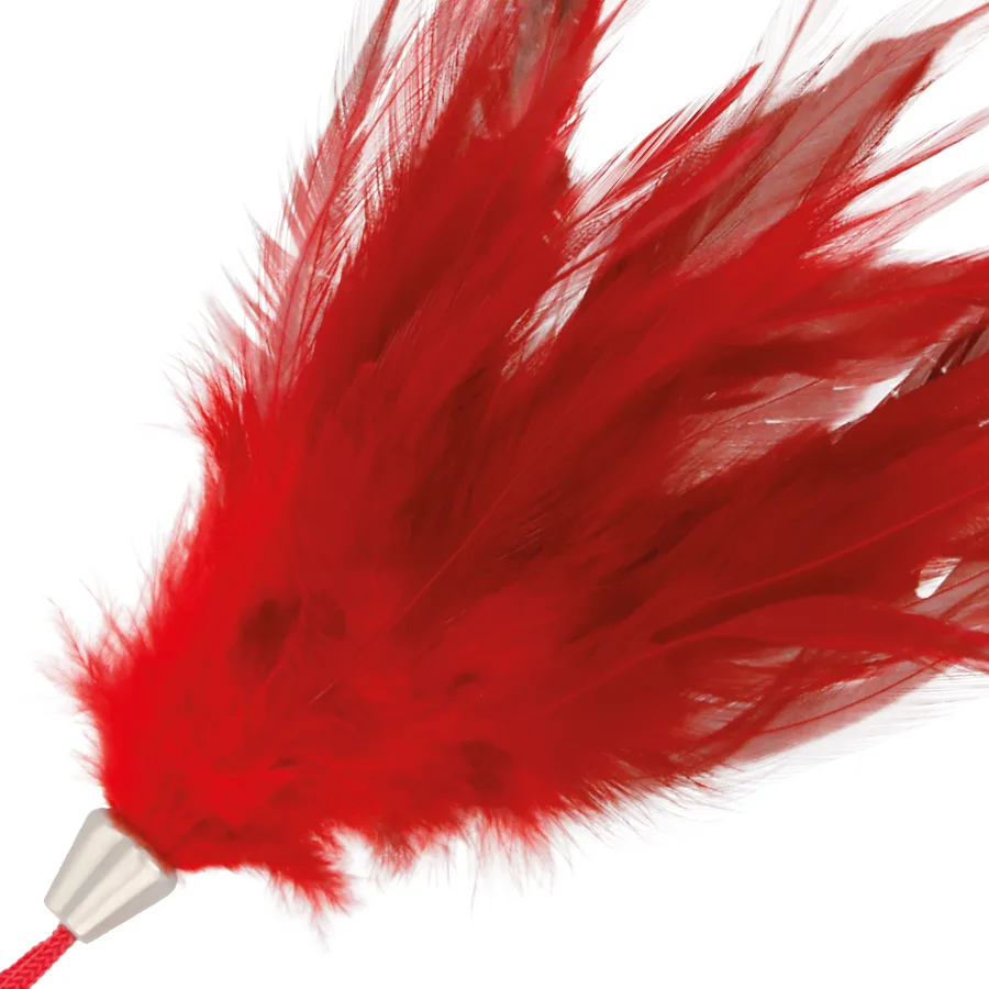 PLUMA ESTIMULADORA ROJO 17CM